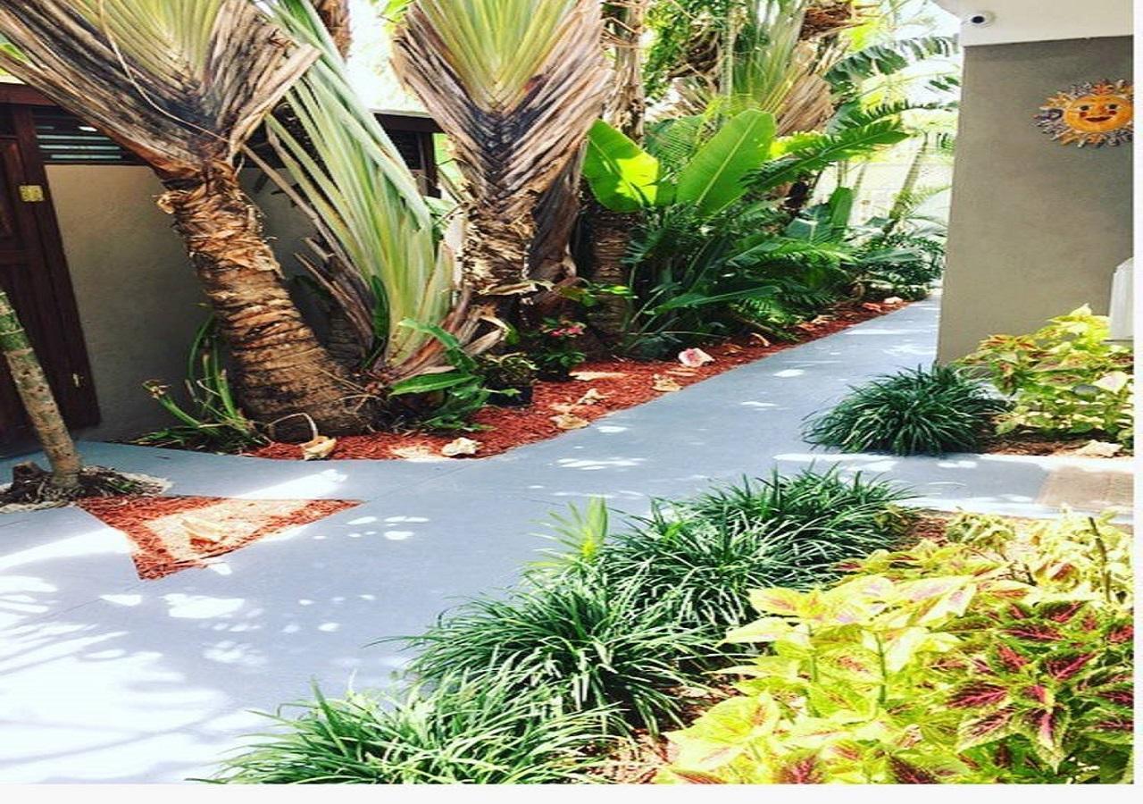 The Oasis Retreat Apartment Nassau Exterior photo